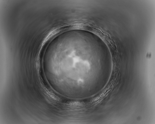 X0000100470198200806131134