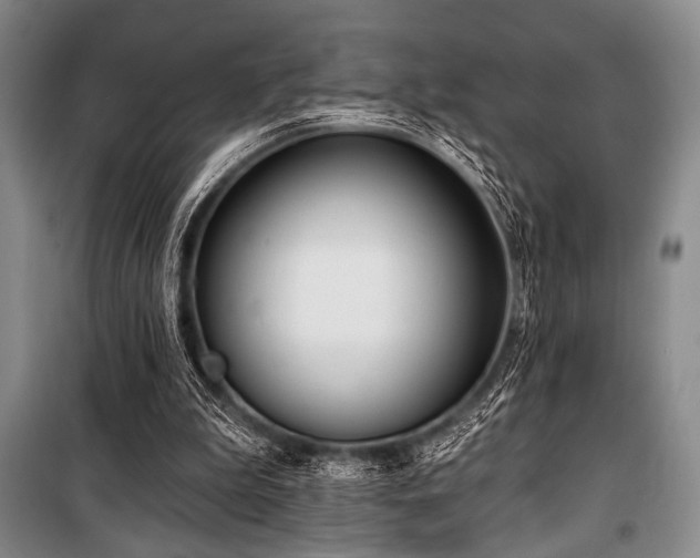 X0000100470199200806131134