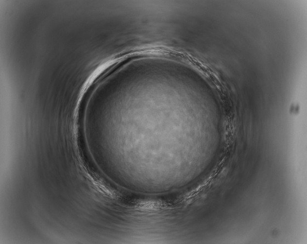 X0000100470200200806131134