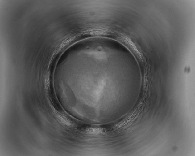 X0000100470202200806131134