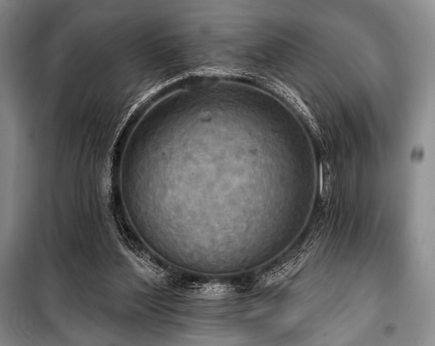 X0000100470204200806131134