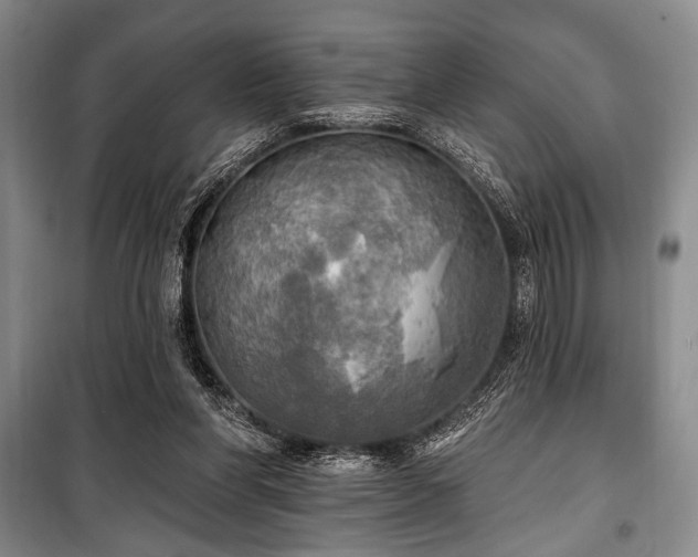 X0000100470206200806131134