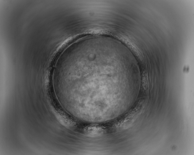 X0000100470208200806131134