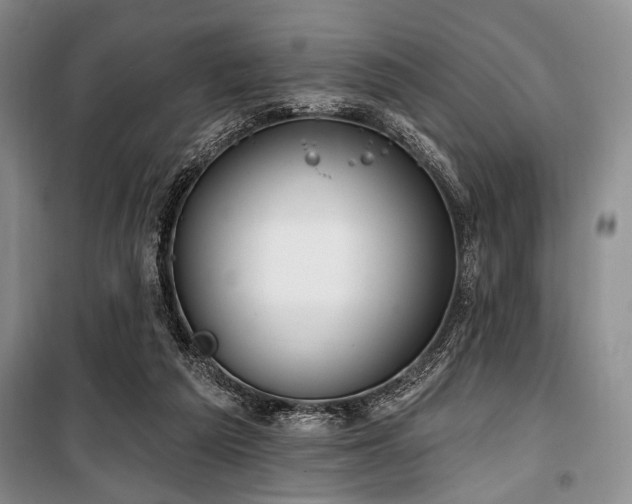 X0000100470209200806131134