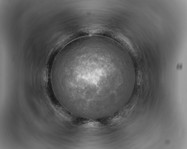 X0000100470210200806131134