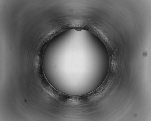 X0000100470211200806131134