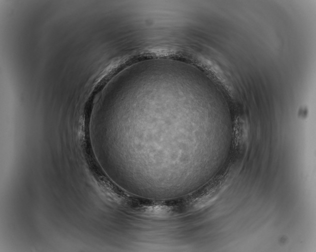 X0000100470212200806131134