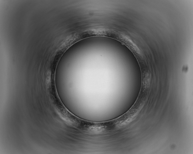 X0000100470213200806131134