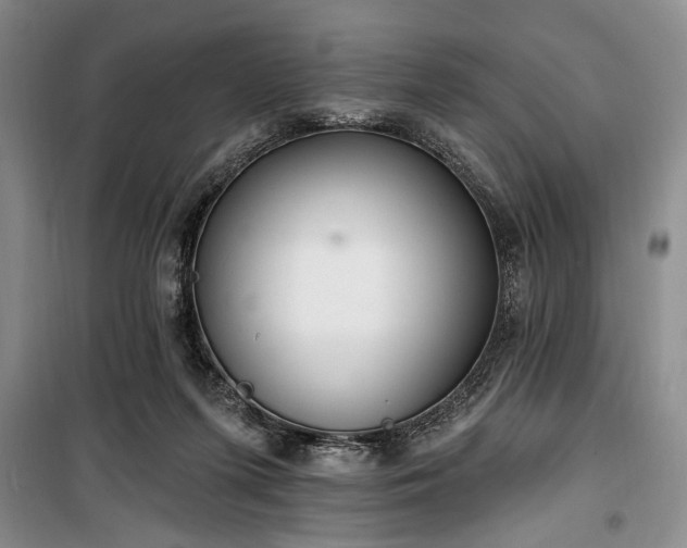 X0000100470215200806131134