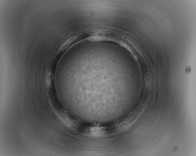 X0000100470216200806131134