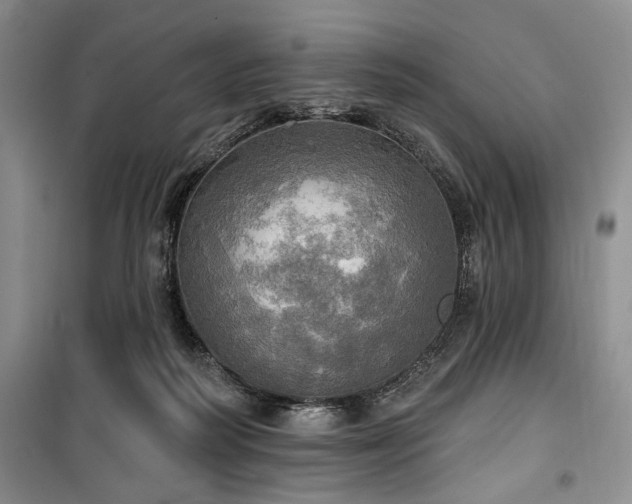 X0000100470218200806131134