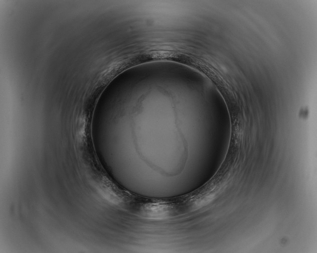 X0000100470219200806131134