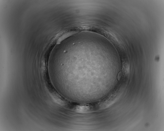 X0000100470220200806131134