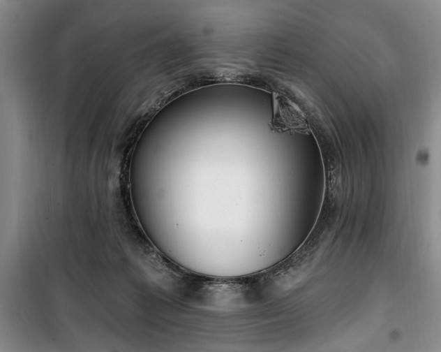 X0000100470221200806131134