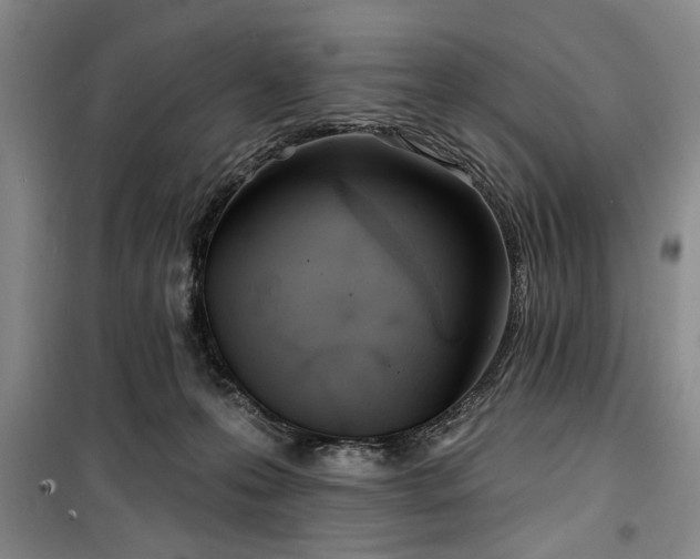 X0000100470223200806131134