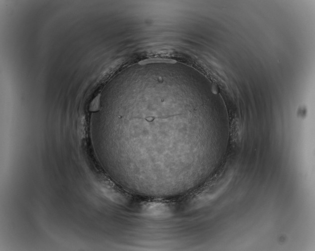 X0000100470224200806131134