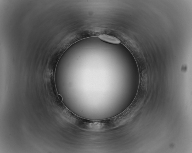 X0000100470225200806131134