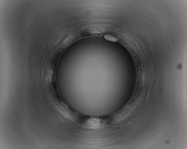 X0000100470227200806131134