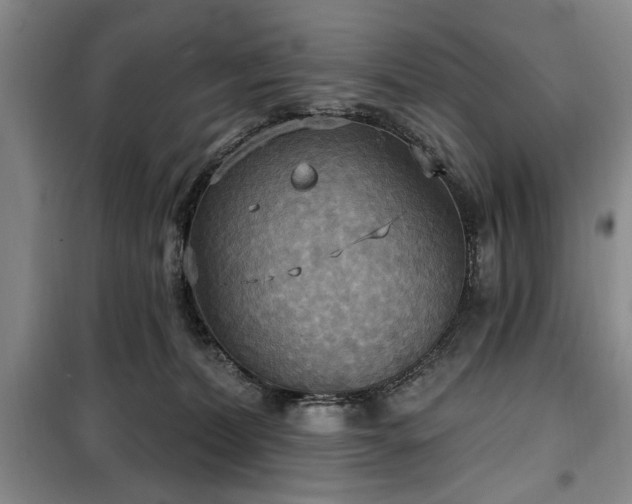 X0000100470228200806131134