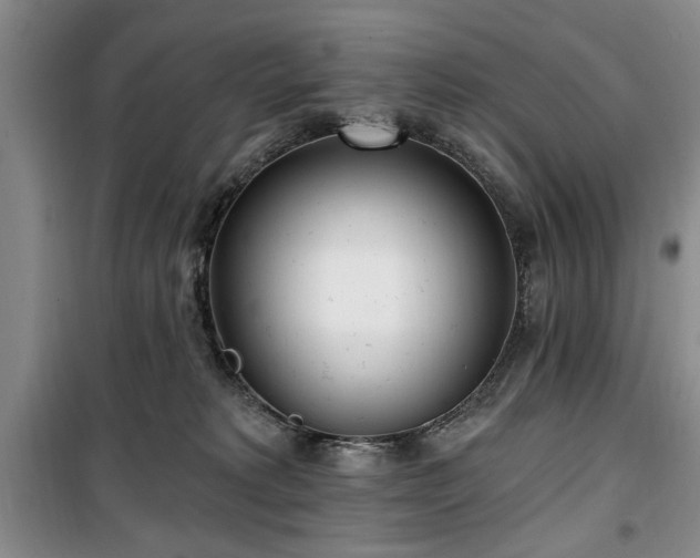 X0000100470229200806131134