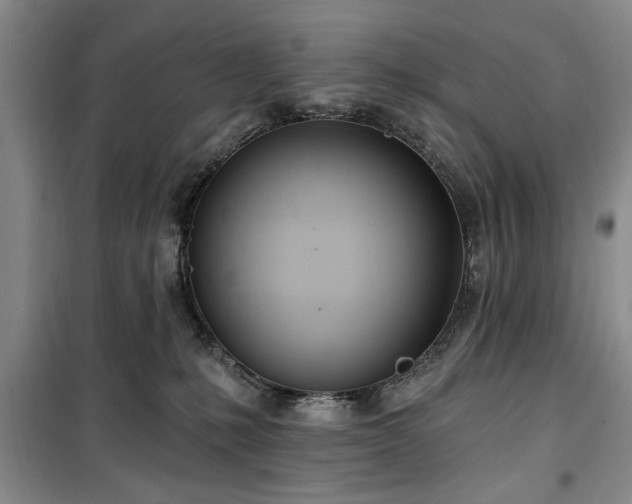 X0000100470231200806131134