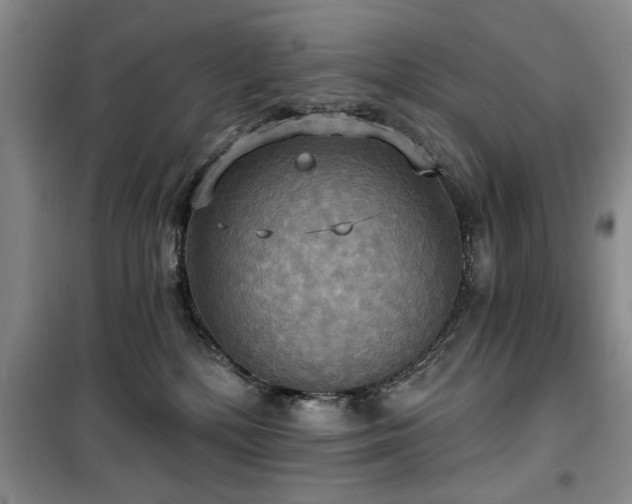 X0000100470232200806131134