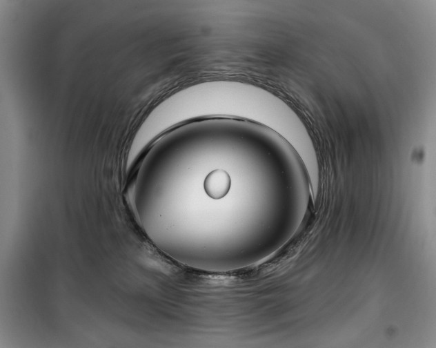 X0000100470233200806131134