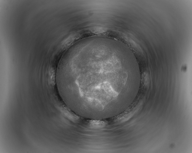 X0000100470234200806131134