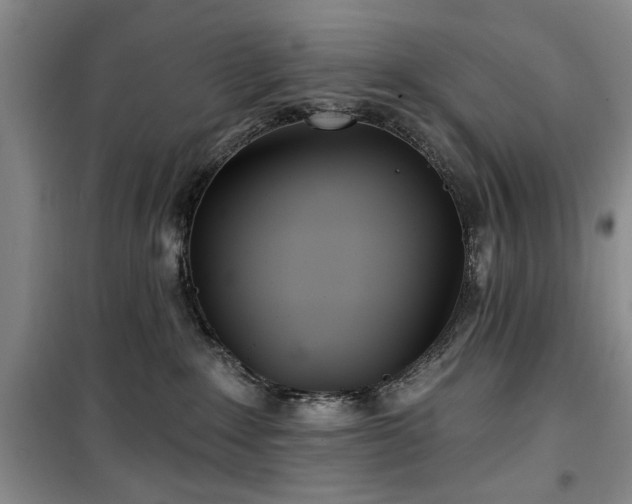 X0000100470235200806131134