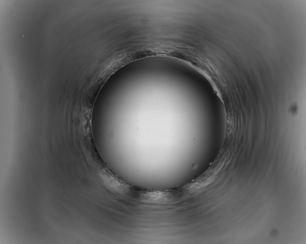 X0000100470237200806131134