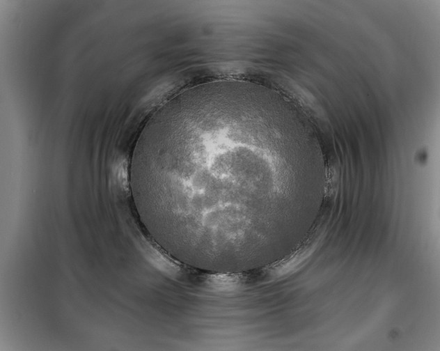 X0000100470238200806131134