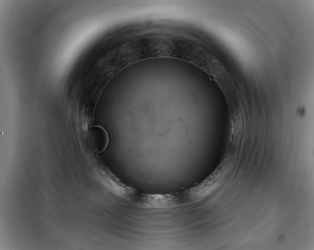 X0000100470239200806131134