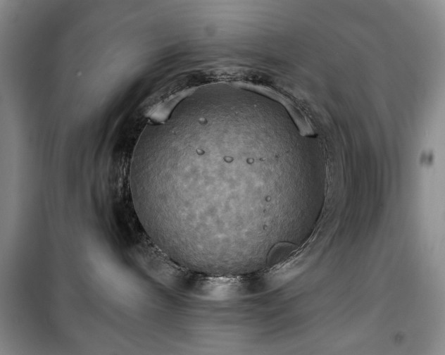 X0000100470240200806131134