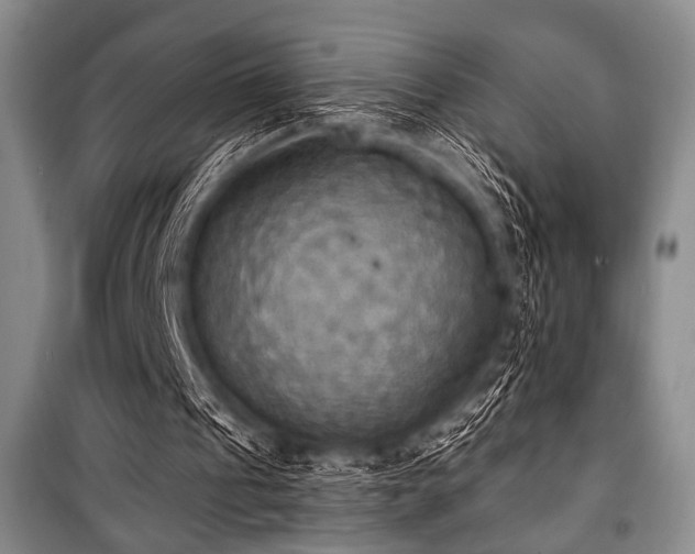 X0000100470241200806131133