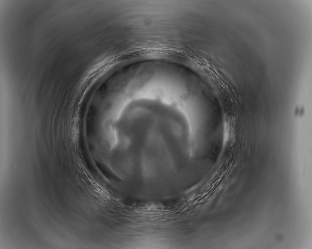 X0000100470243200806131133