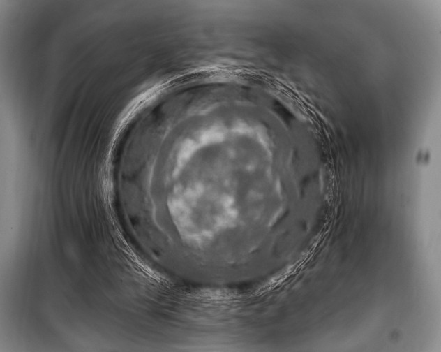 X0000100470245200806131133