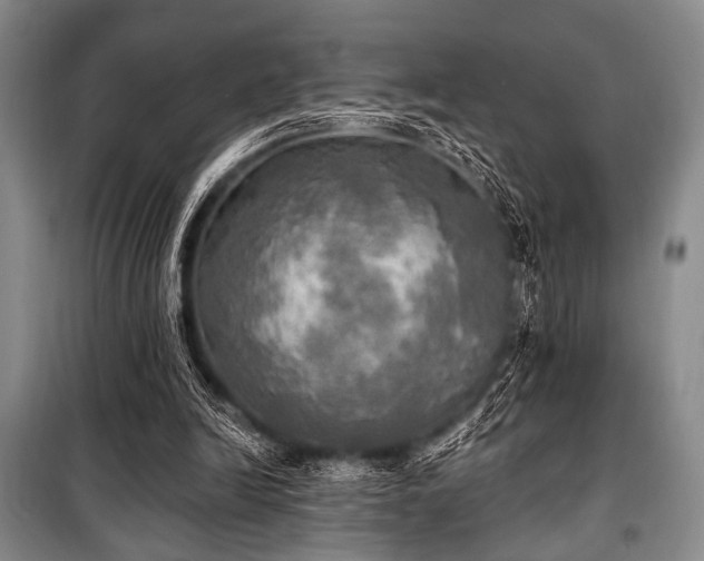 X0000100470246200806131133