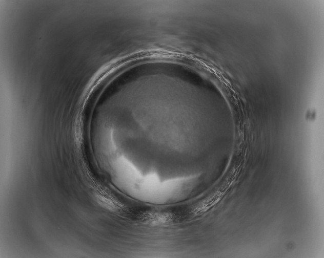 X0000100470247200806131133