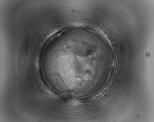 X0000100470249200806131133