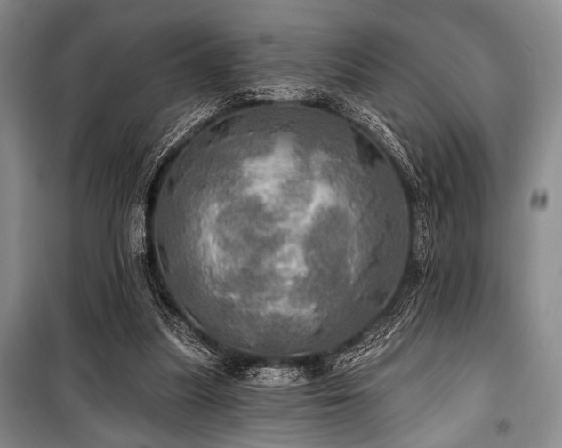 X0000100470251200806131133