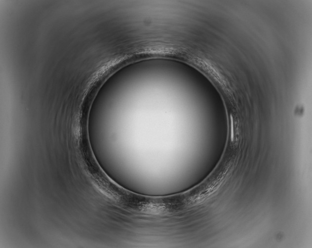 X0000100470252200806131133