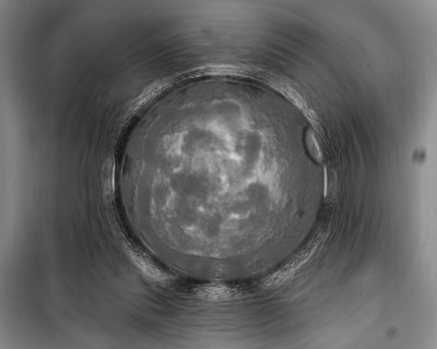 X0000100470253200806131133