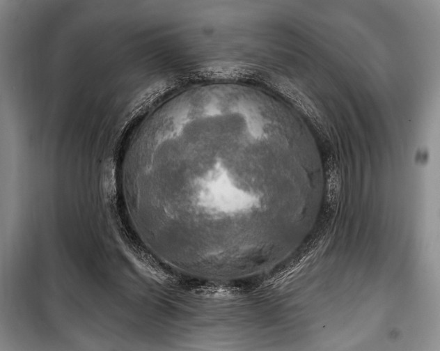 X0000100470254200806131133