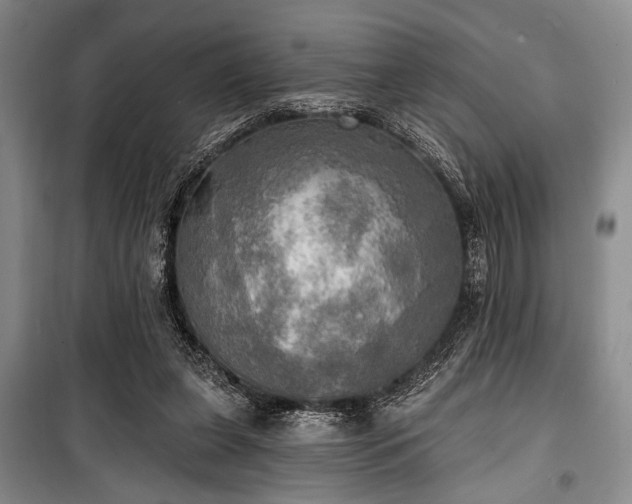 X0000100470255200806131133