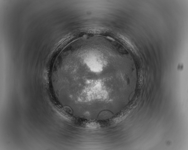 X0000100470258200806131133