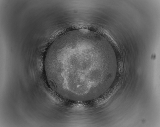 X0000100470259200806131133