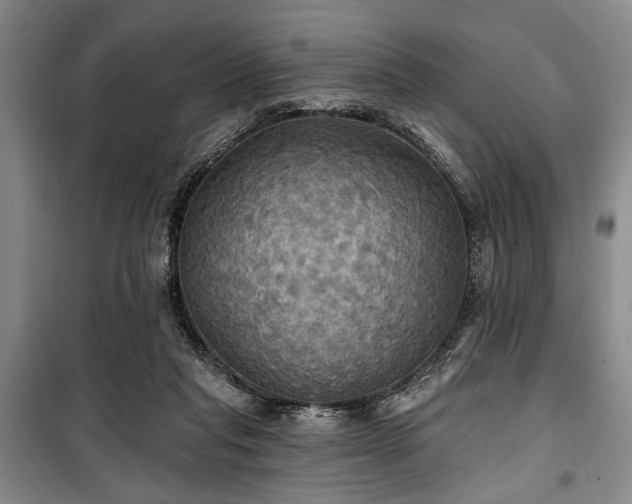 X0000100470261200806131133