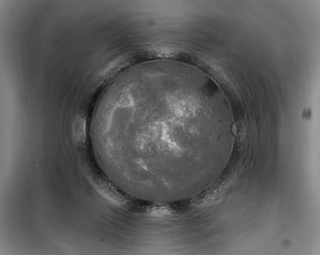 X0000100470262200806131133