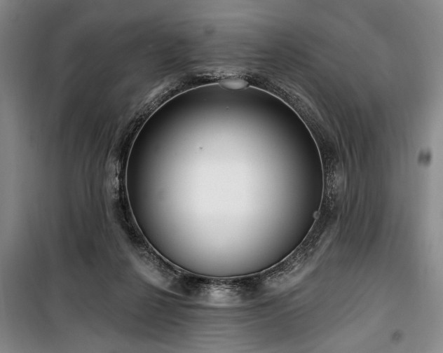 X0000100470264200806131133