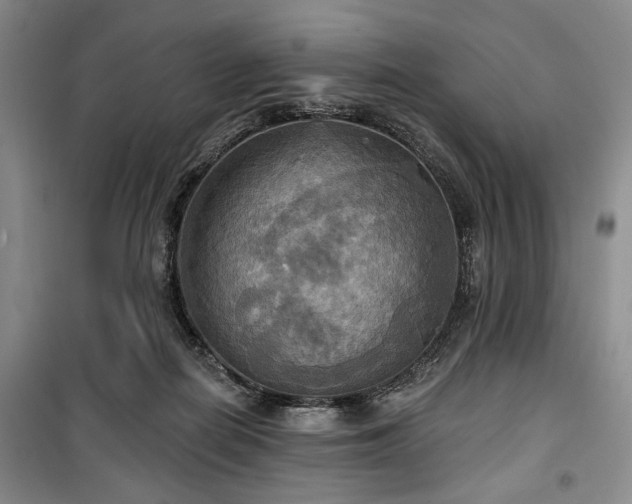 X0000100470266200806131133